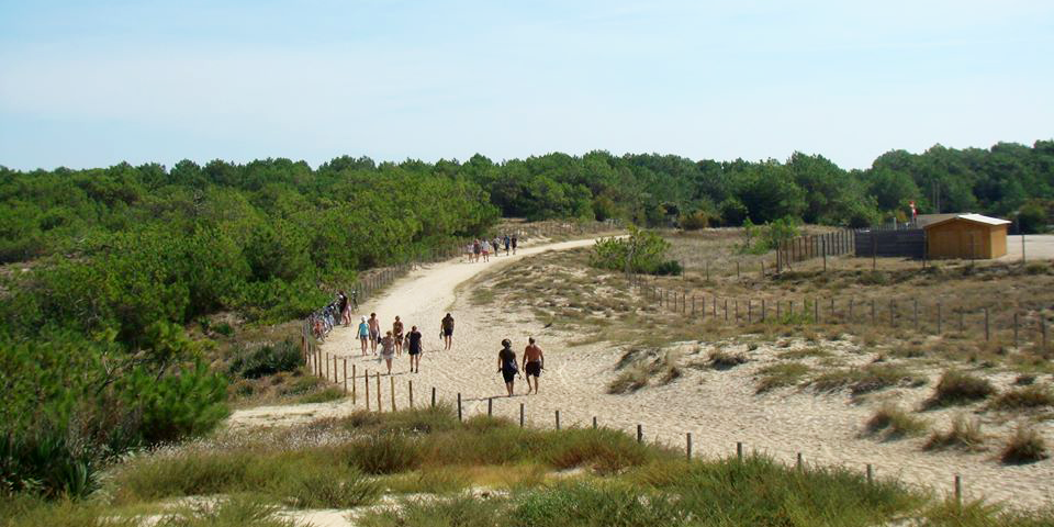 Cap Ferret